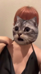 ミカン