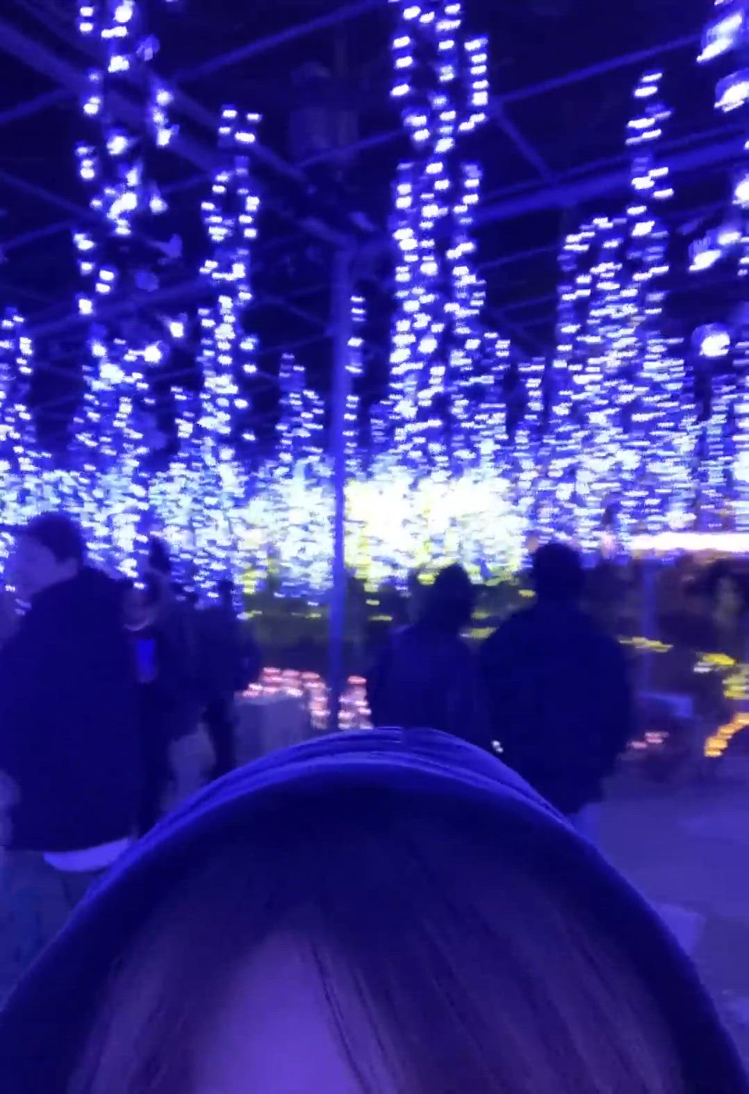 坂崎【さかざき】