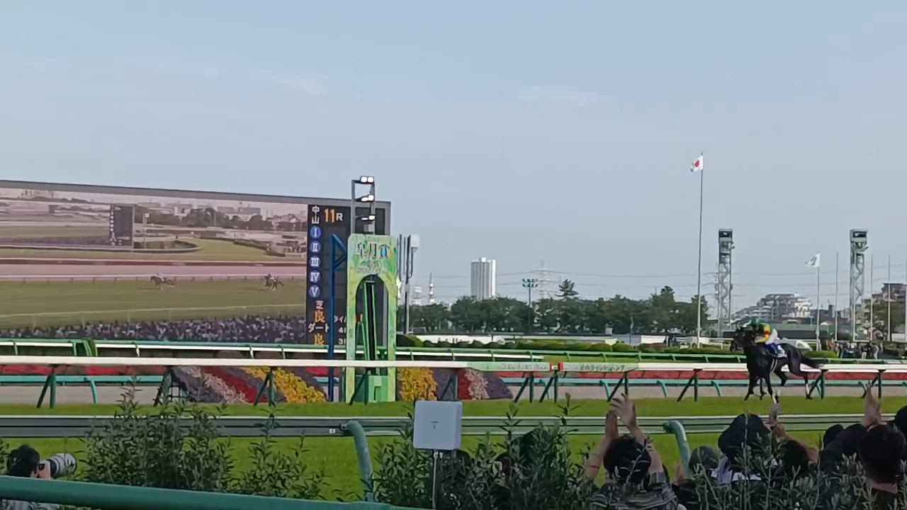望月れいら