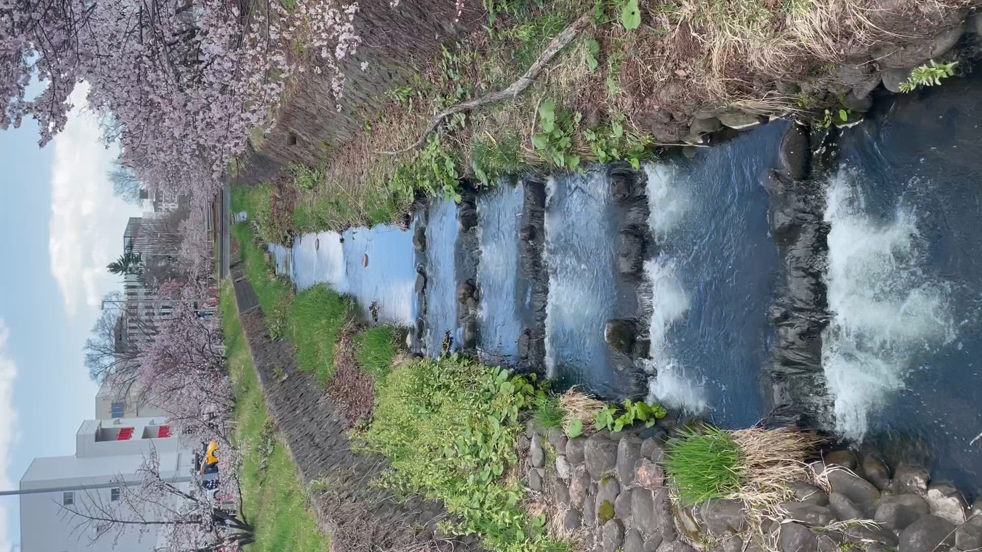 このみ