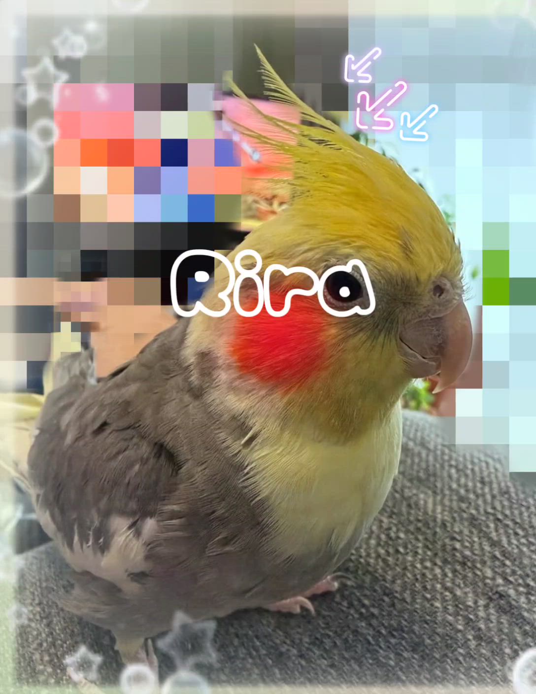 りら
