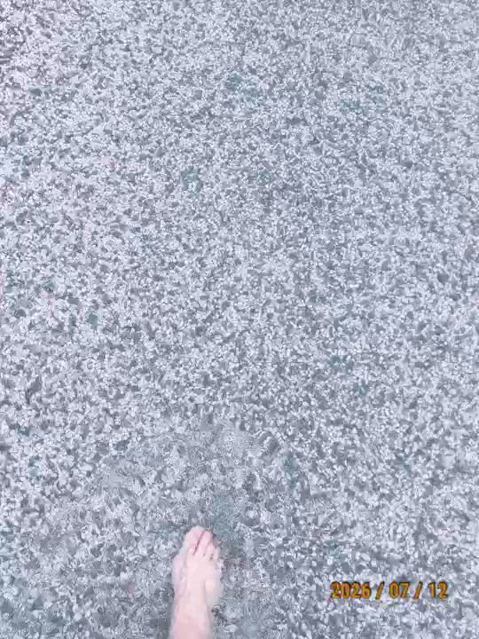 かえで