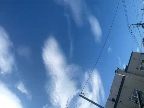 こはね