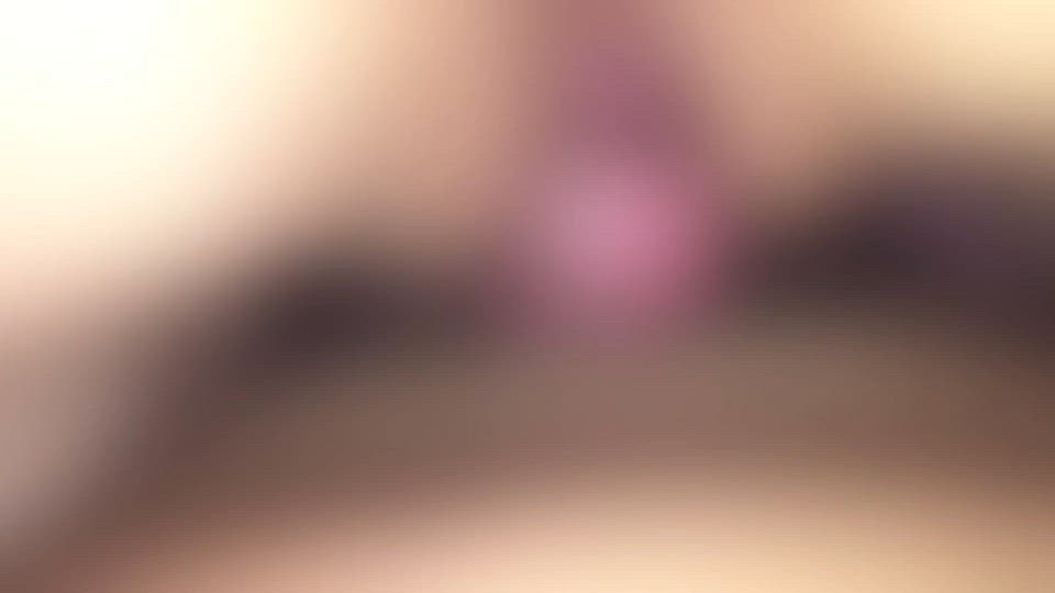 ひなぎく