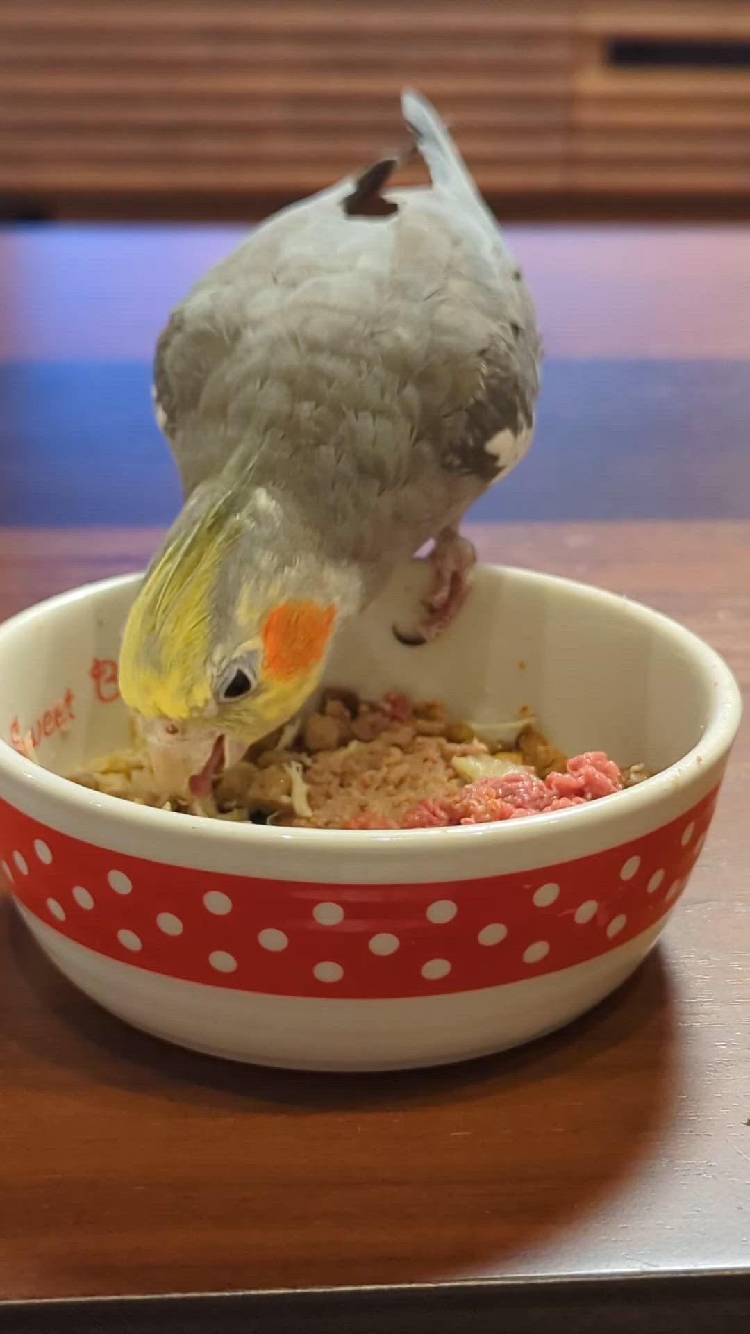 なつき