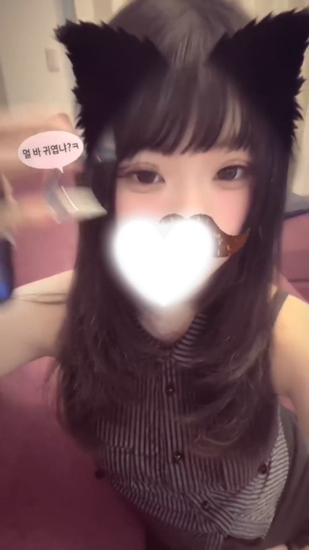 にゃん